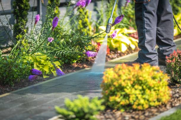 Best Patio and Deck Pressure Washing  in St Stephen, SC