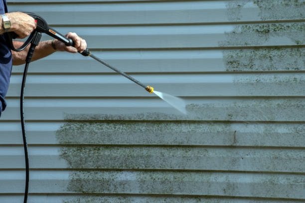 Best Roof Washing  in St Stephen, SC