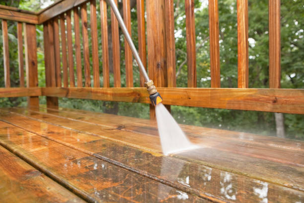 Animal Enclosure Cleaning in St Stephen, SC